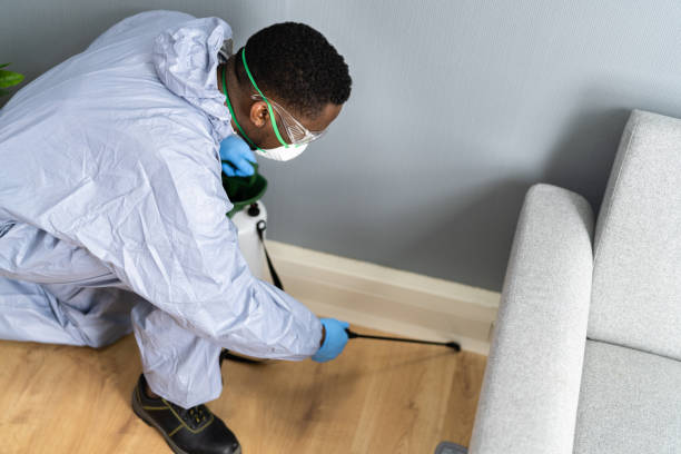 Best Residential Pest Control  in Desert Palms, CA